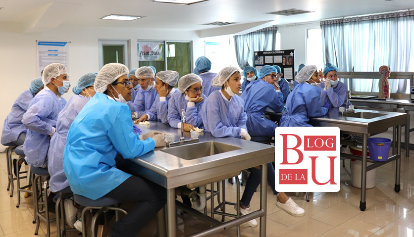 Practicas internado y año rural carrera de medicina